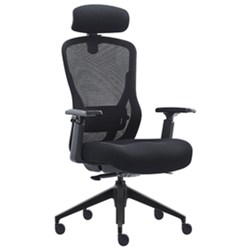 Mitz Executive Chair High Back With Arms Black Fabric Seat Mesh Back