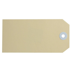 SHIPPING TAGS #5 120x60mm BUFF AVERY 