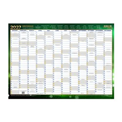 Collins Writeraze Dated Wall Planner 500 x 700mm Recycled Unframed Green