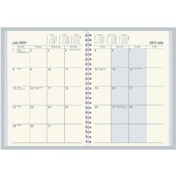 COLLINS VANESSA DIARY Month To View A5 Assorted 